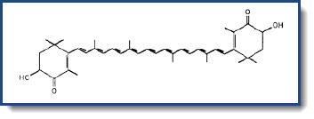 Astaxanthin-Molekül Astaxanthin-Molekül